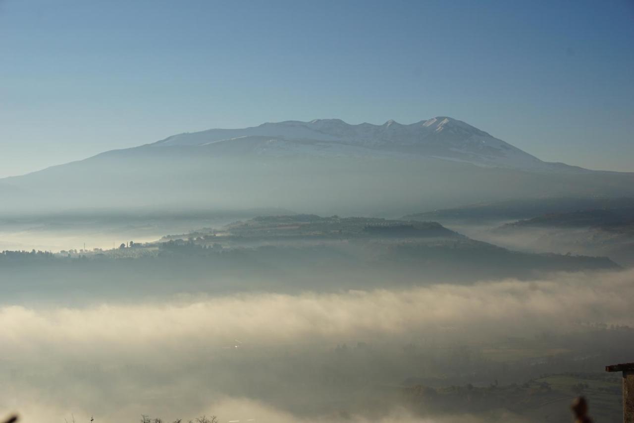 Palazzo De Fabritiis Bed & Breakfast Rosciano  ภายนอก รูปภาพ